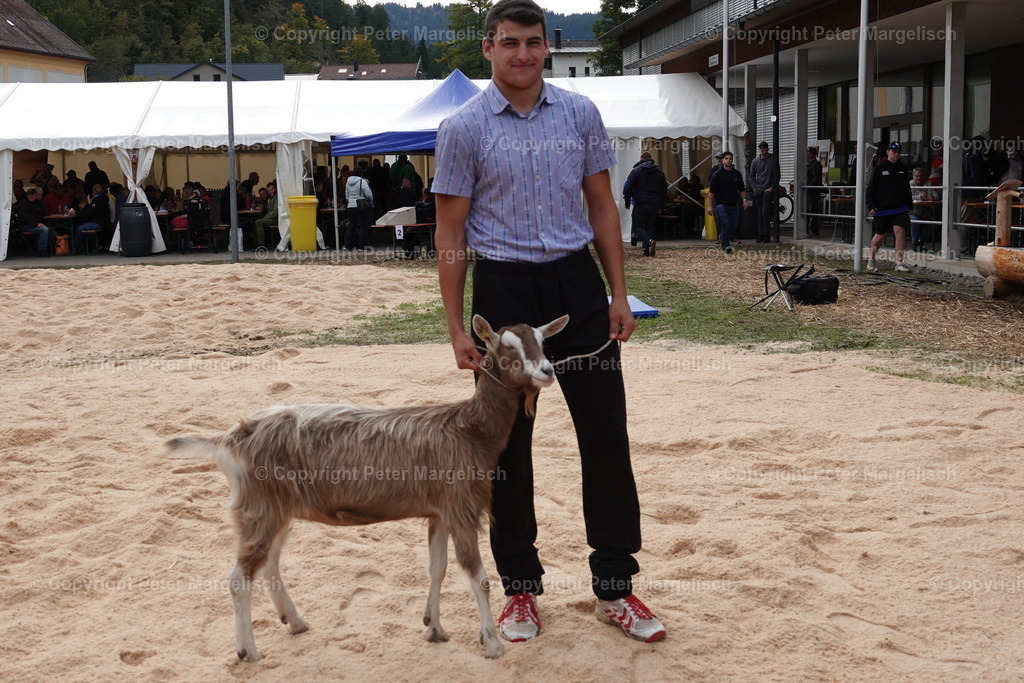 DSC00112 | Schwingen - Realisiert mit Pictrs.com