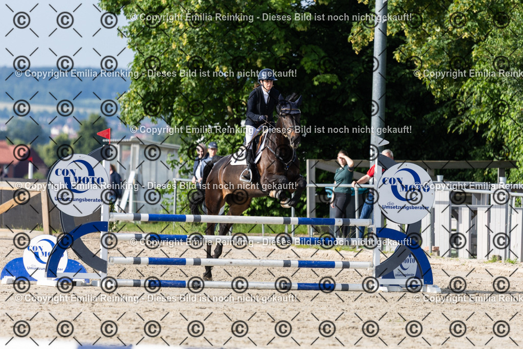 CL5A0038 | Emilia Reinking Fotografie - Realisiert mit Pictrs.com