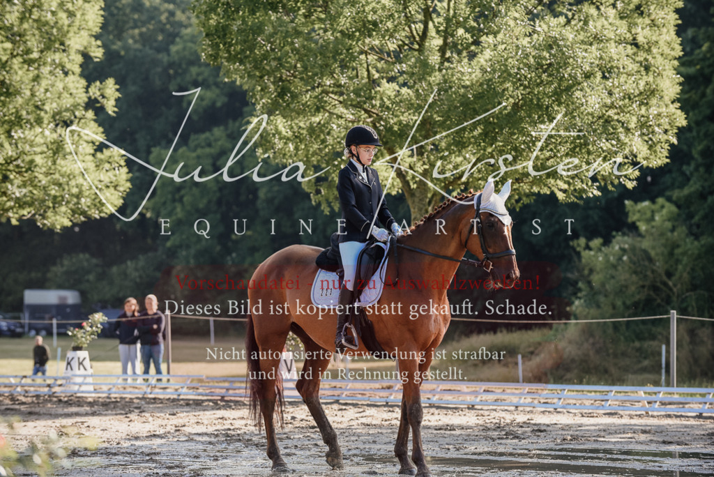 DSC_7748 | Pferde- und Turnierfotografie in Westsachsen. Pferdeportraits, Auftragszeichnungen und intuitive Kunst.