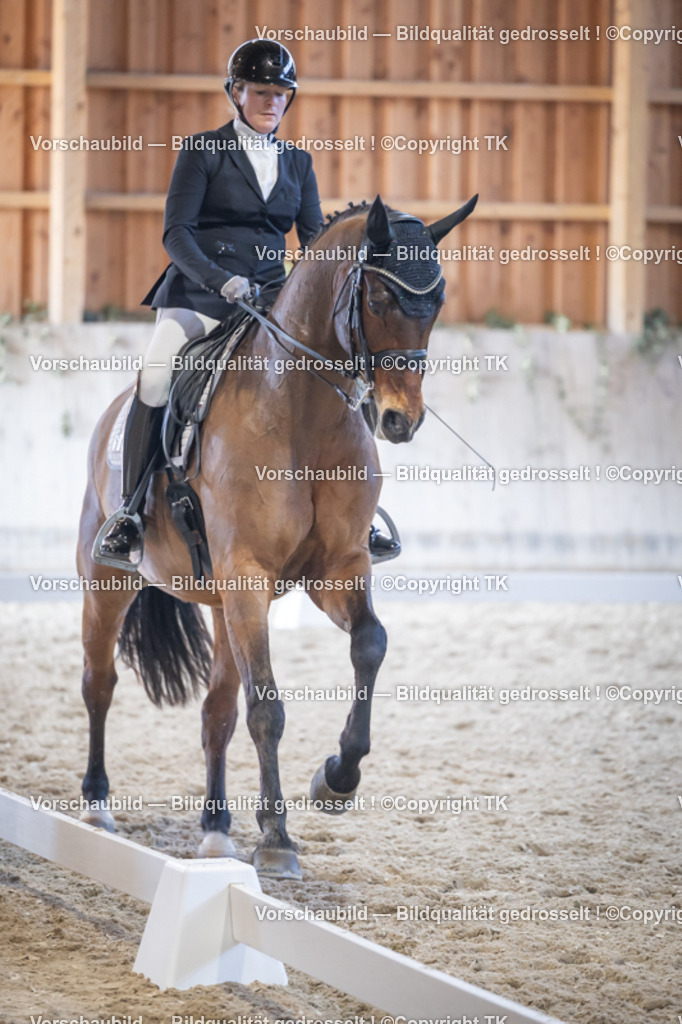 _D5A4987 | Emotionale Pferde- & People-Fotografie rund um Heidelberg, Leimen & Umgebung. Natürliche Fotos von Pferd, Mensch & Familie. Jetzt Termin sichern!