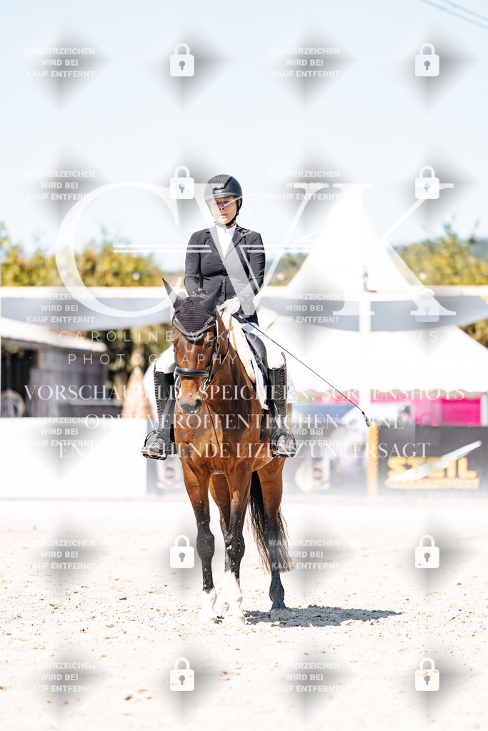 CK900342 | Turnierfotografie Pferdefotografie Trier Rheinland-Pfalz Pferdesport Reitsport Tierfotografie Sportfotografie Pferdevideo Pferdevideografie Equestrianvideography equestrianphotography  - Realisiert mit Pictrs.com