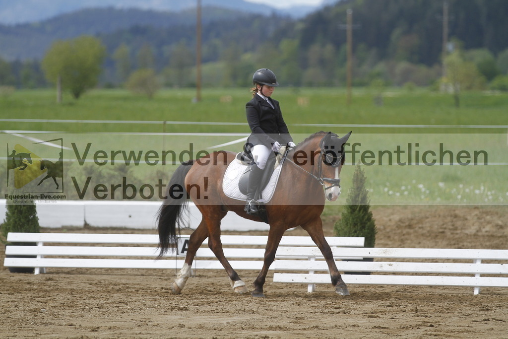 _MG_2843 | equestrian-live-com