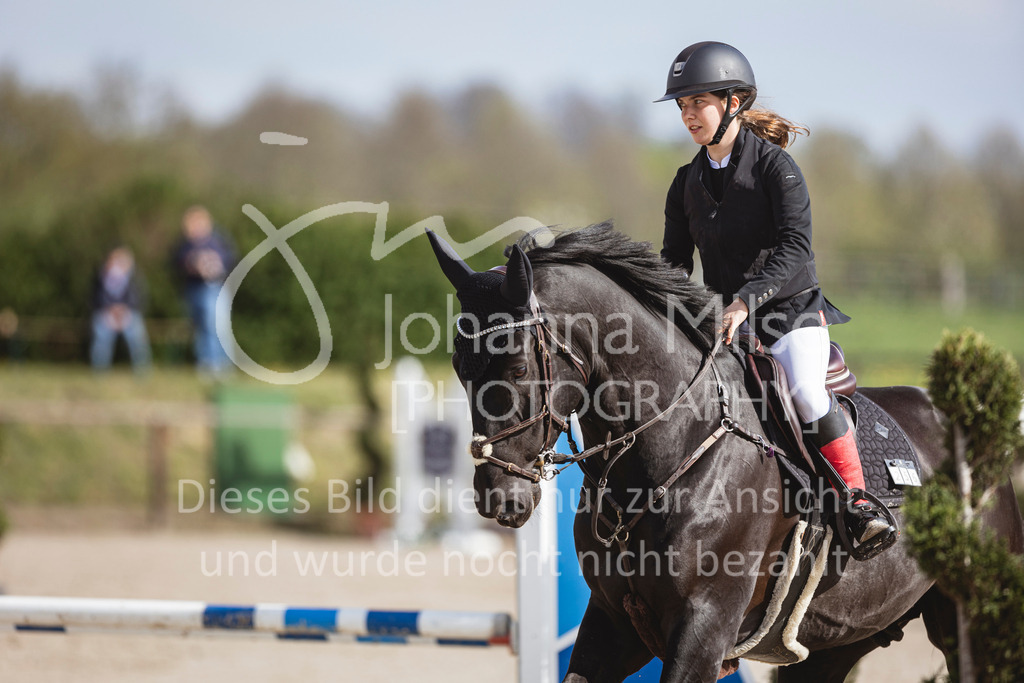 250419_Frühlingsfest_A-Stil1-414 | Deine schönsten Turniermomente als professionelle Fotos! Entdecke hochwertige Pferdesport-Fotografie im Online-Shop. Jetzt Fotos finden & bestellen!