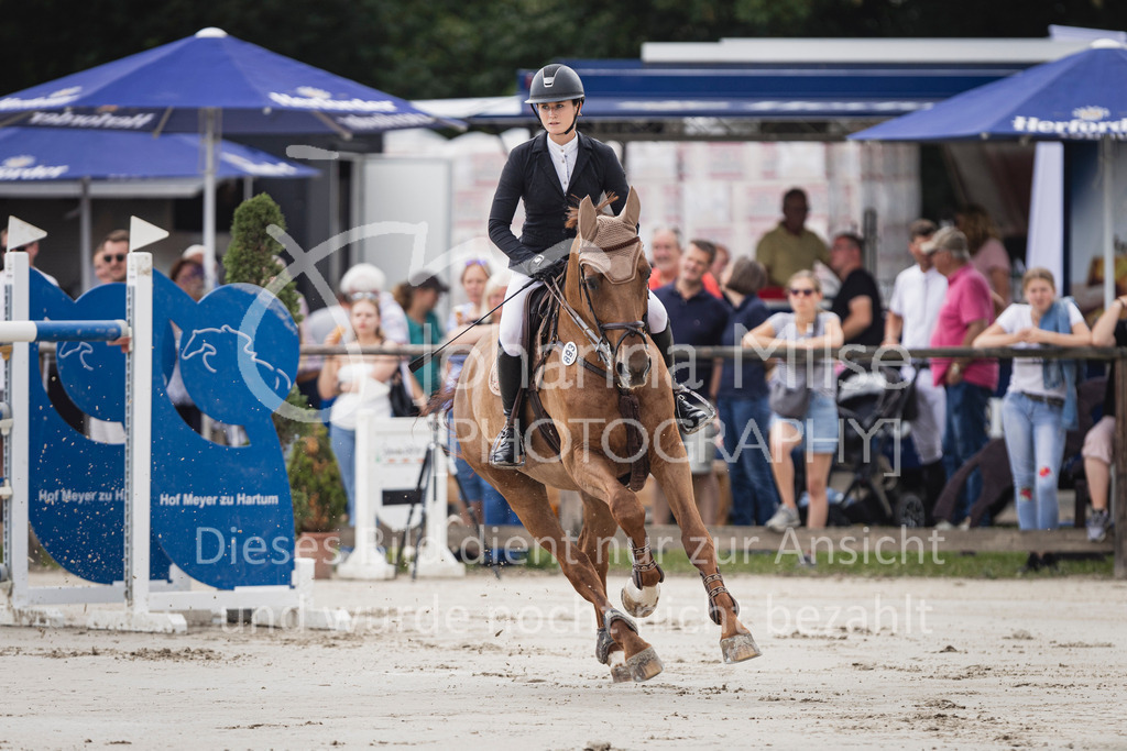 250628_PfSpTa_GP-606 | Deine schönsten Turniermomente als professionelle Fotos! Entdecke hochwertige Pferdesport-Fotografie im Online-Shop. Jetzt Fotos finden & bestellen!