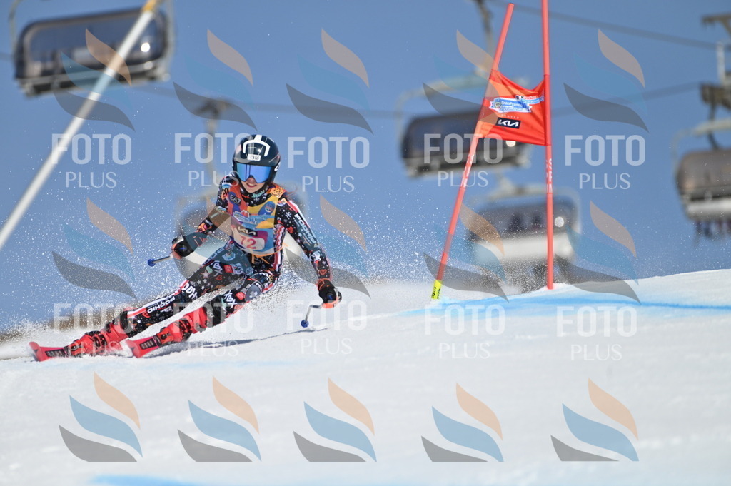 BGV_8935 | holidayphoto