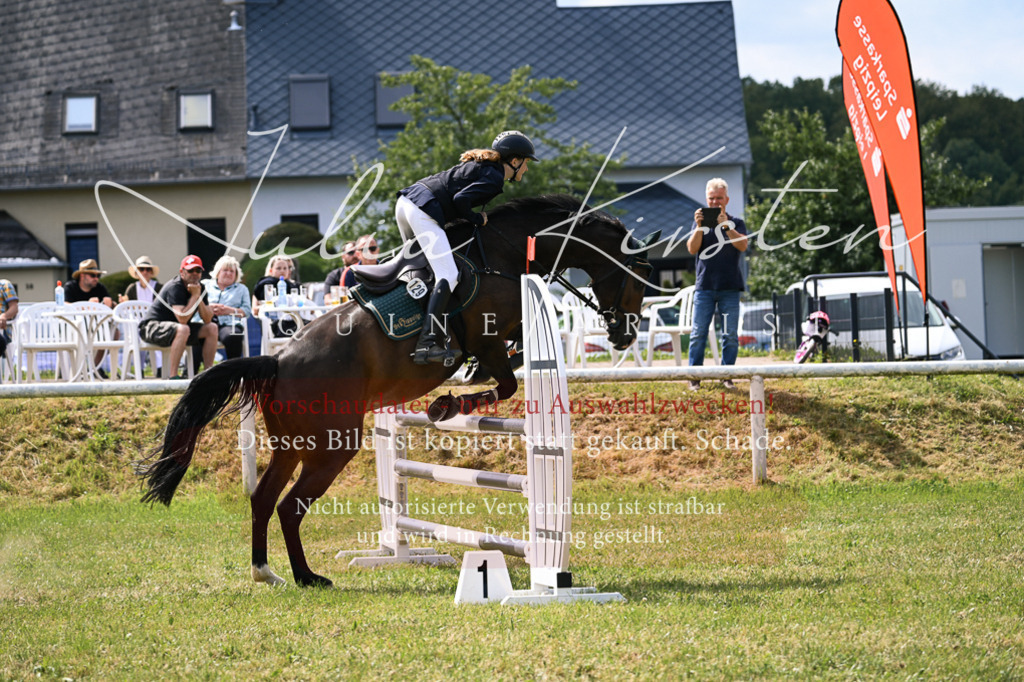 DSC_0599 | Pferde- und Turnierfotografie in Westsachsen. Pferdeportraits, Auftragszeichnungen und intuitive Kunst.