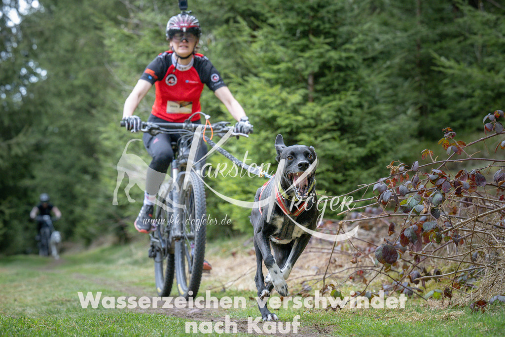 1311_ZZ93902 | kk-dogfotos