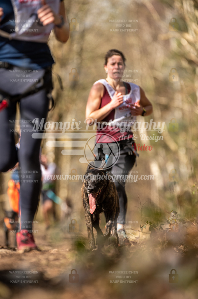SPA_2023_SAM_CCK-146 | PayLife