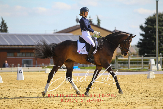 DKP43213 | Turniersportfotografie; Pferdefotografie; Dressurfotografie