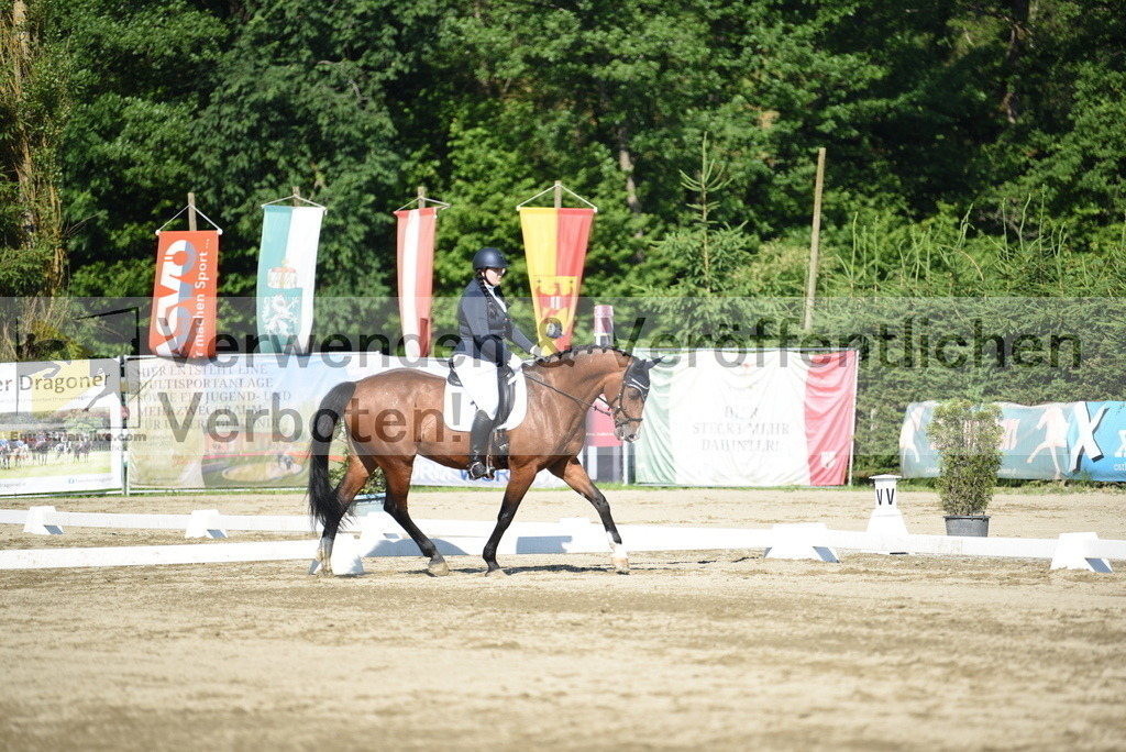 DSC_7304 | equestrian-live-com