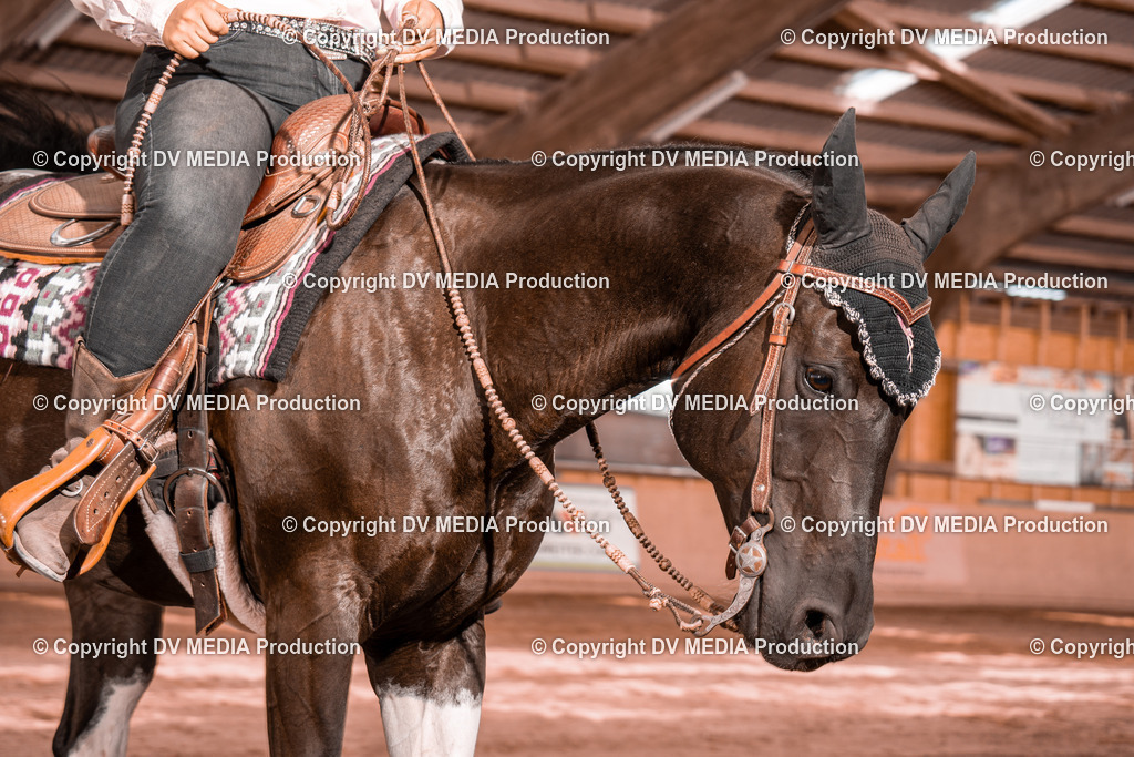 NE100745 | dv-media-shop - Realisiert mit Pictrs.com