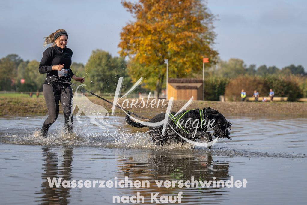 1008_ZZ91999 | kk-dogfotos