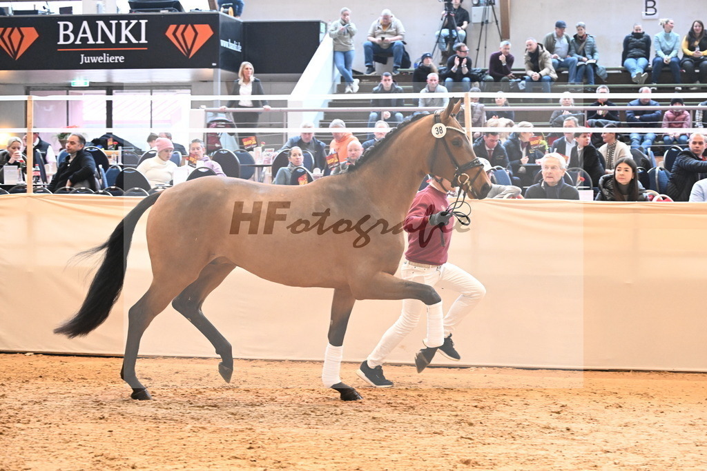Kat.-Nr. 38 v. Bonds_Fathke und Hoth_3265100 | hf-fotografie - Realizzato con Pictrs.com