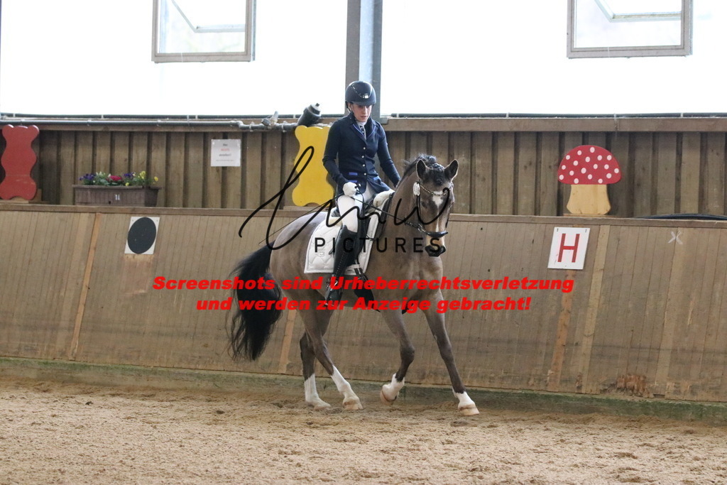 IMG_6617 | lmwpictures - Realisiert mit Pictrs.com