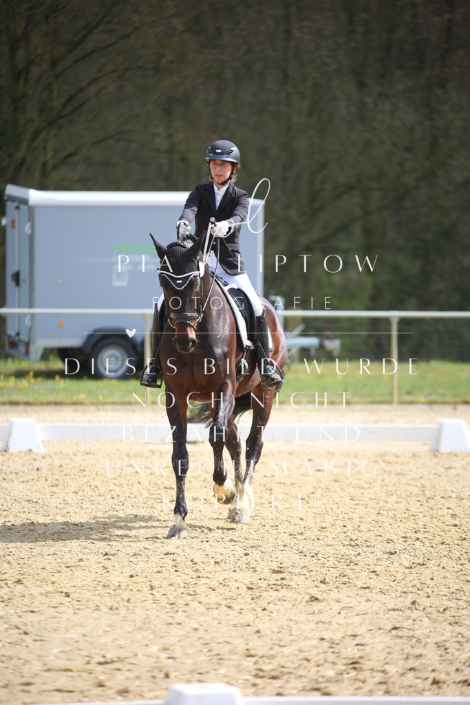 IMGT5418 | pl-fotografie