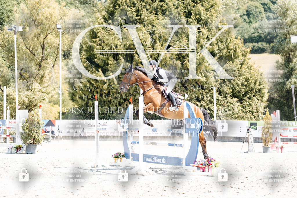 CK900598 | Turnierfotografie Pferdefotografie Trier Rheinland-Pfalz Pferdesport Reitsport Tierfotografie Sportfotografie Pferdevideo Pferdevideografie Equestrianvideography equestrianphotography  - Realisiert mit Pictrs.com