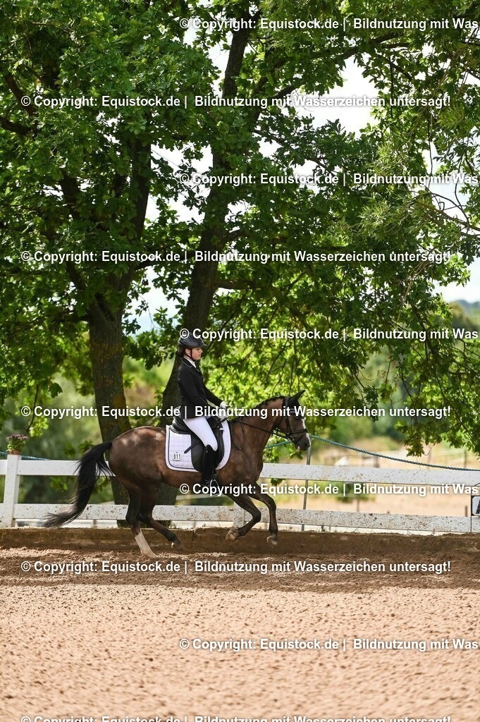 20230716_10-1_Reiter-WB Schritt - Trab - Galopp_0196 | equistock
