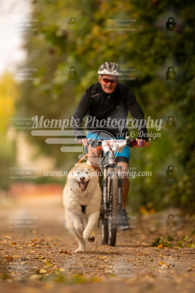 CDLBDB_14_10_2023_Samedi-110 | PayLife