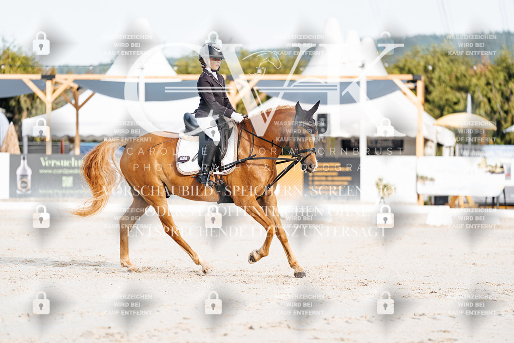 CK903674 | Turnierfotografie Pferdefotografie Trier Rheinland-Pfalz Pferdesport Reitsport Tierfotografie Sportfotografie Pferdevideo Pferdevideografie Equestrianvideography equestrianphotography  - Realisiert mit Pictrs.com