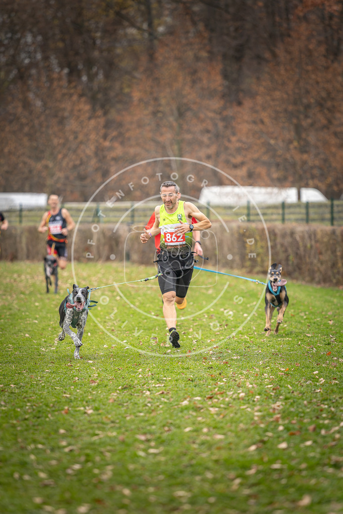 CaniXpix_DV3A6662 | Hundefotografie, Tierfotograf, Pfotenfotografie, Fotoshooting Hund, Hunde Portrait, Hundesport, Hundeportraits, Heideshooting, Hunde, Sportfotograf, Hundefotograf, Turnierhundsport, THS,  - Realisiert mit Pictrs.com