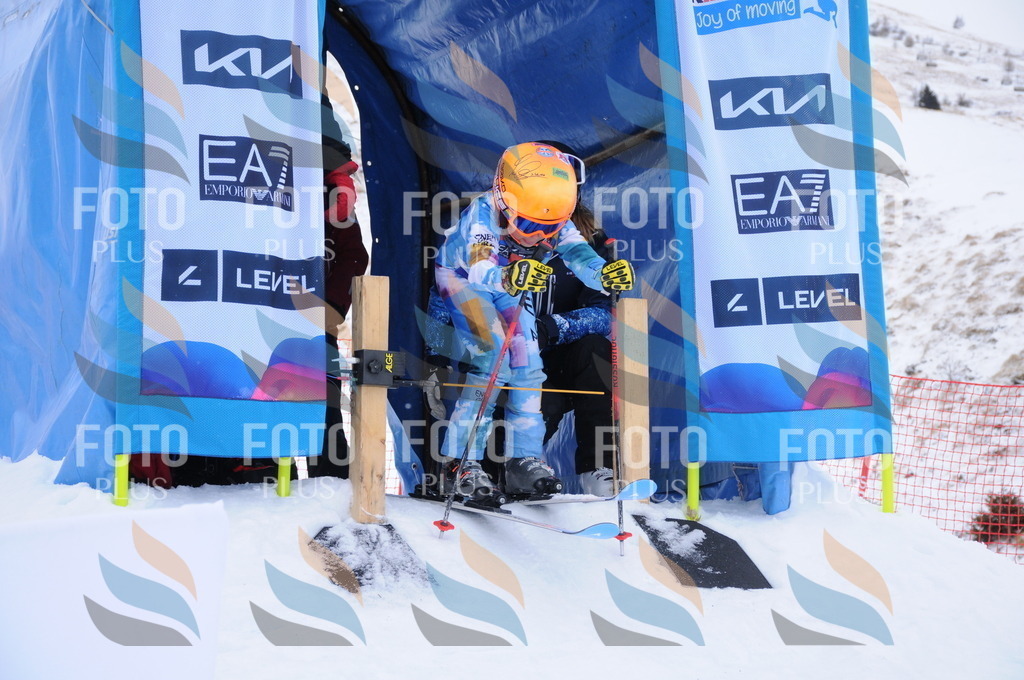 DSC_8341 | holidayphoto