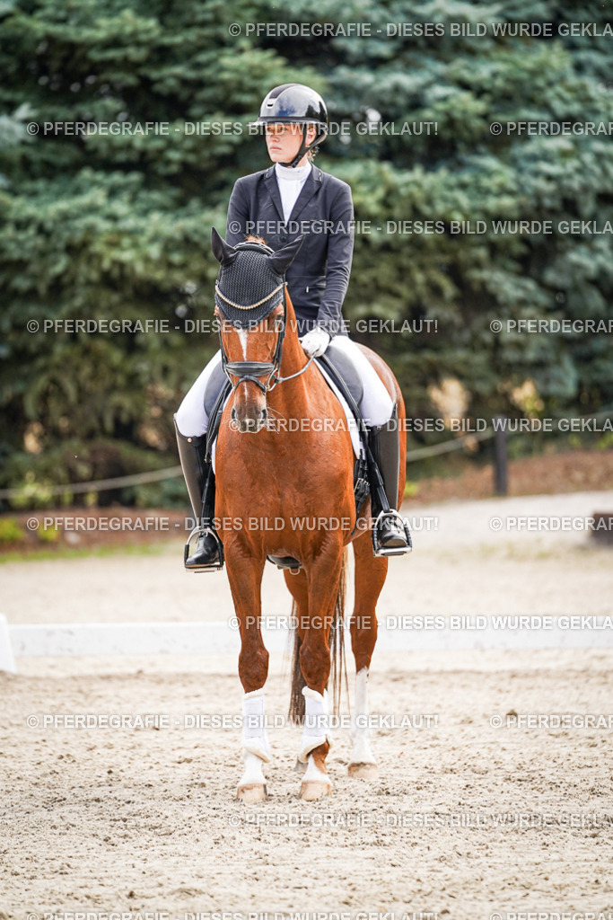 DSC02303 | Pferdegrafie