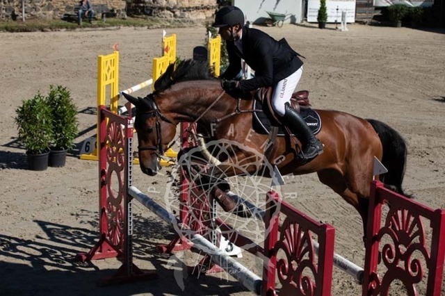 2B4A0411 | pixelfaenger - Realisiert mit Pictrs.com