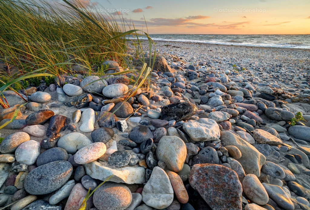Ostseesteine im Licht der Abendsonne | Runde Ostseesteine in verschiedenen Farben liegen auf einer Düne neben Strandhafer im Abendlicht.