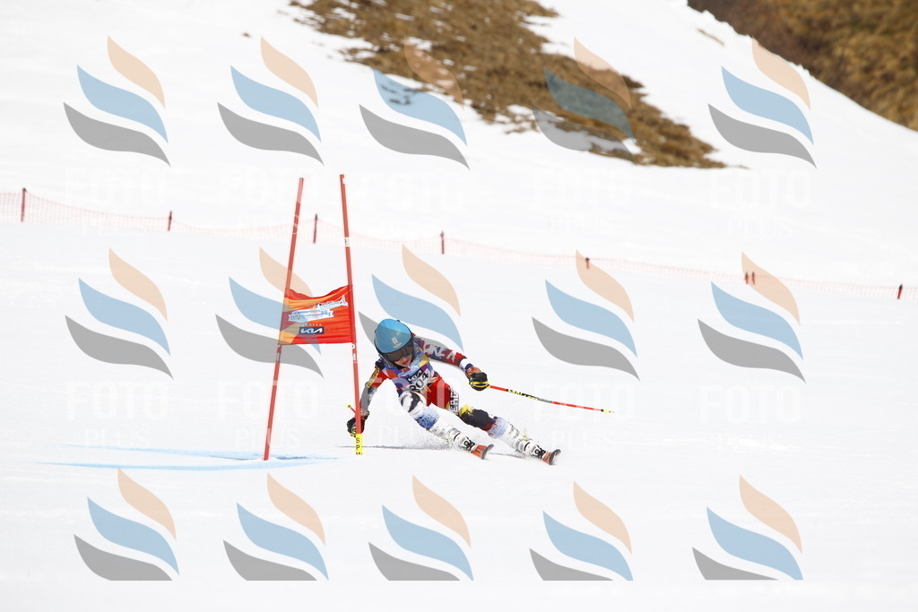 _U3G5287 | holidayphoto