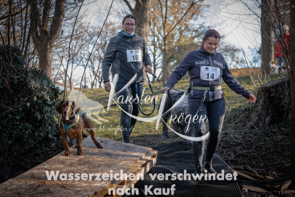 0818_ZZ90453-2 | kk-dogfotos