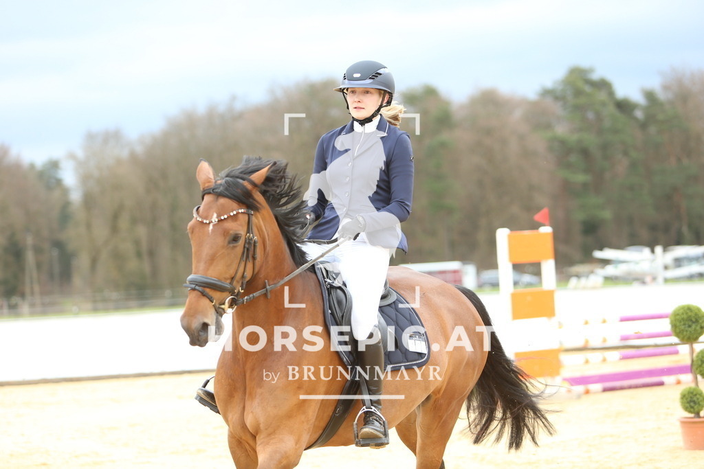 DL2Q1962 | Willkommen bei Brunnmayr - Design & Fotografie – Ihrem Spezialisten für Reitturniere und Pferdeveranstaltungen in Oberösterreich, Salzburg und Bayern! Seit über 17 Jahren sind wir leidenschaftlich dabei.
