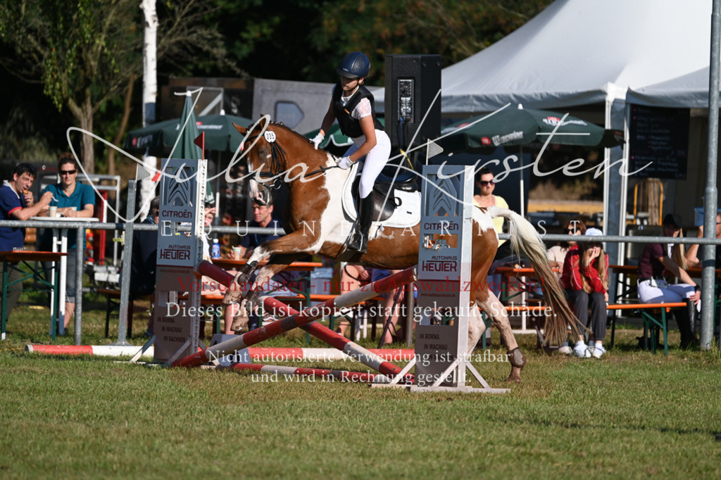 DSC_4896 | Pferde- und Turnierfotografie in Westsachsen. Pferdeportraits, Auftragszeichnungen und intuitive Kunst.