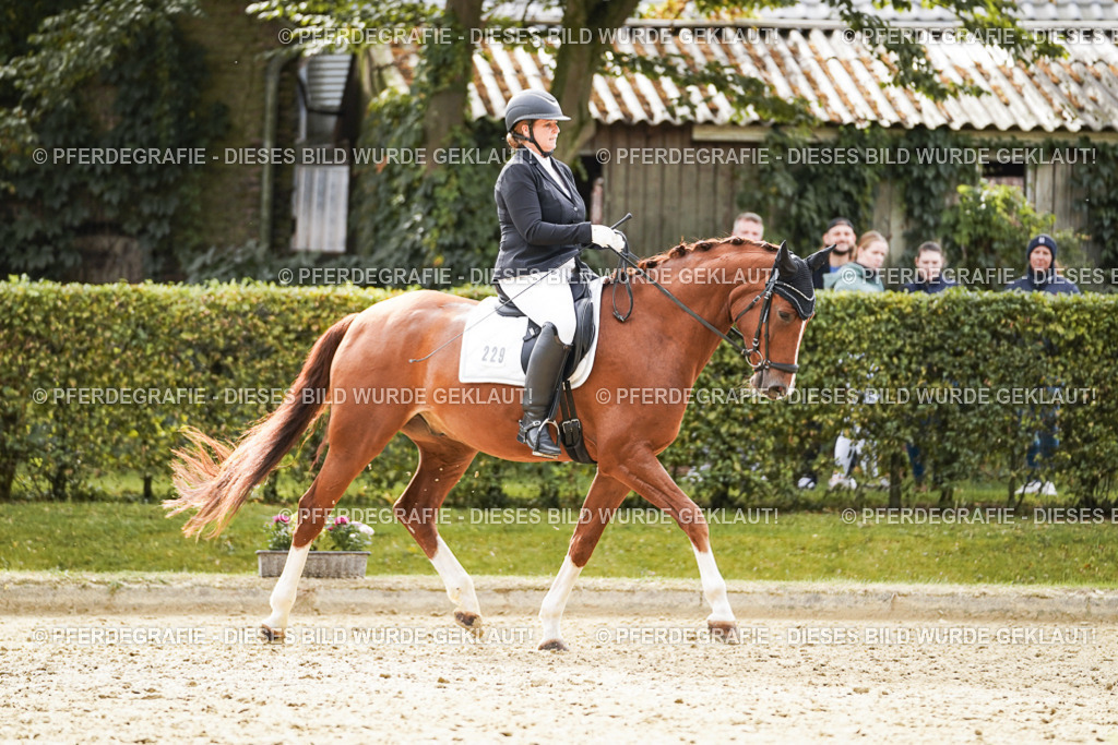 DSC01330 | Pferdegrafie