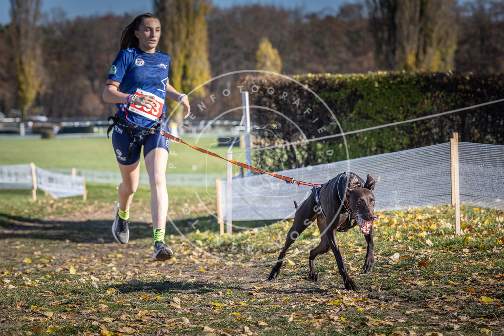 CaniXpix_DV3A8531 | Hundefotografie, Tierfotograf, Pfotenfotografie, Fotoshooting Hund, Hunde Portrait, Hundesport, Hundeportraits, Heideshooting, Hunde, Sportfotograf, Hundefotograf, Turnierhundsport, THS,  - Realisiert mit Pictrs.com