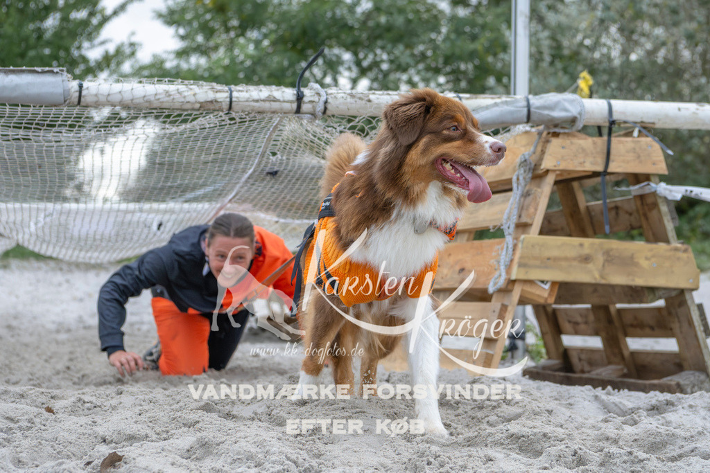 1123_ZZ96470 | kk-dogfotos