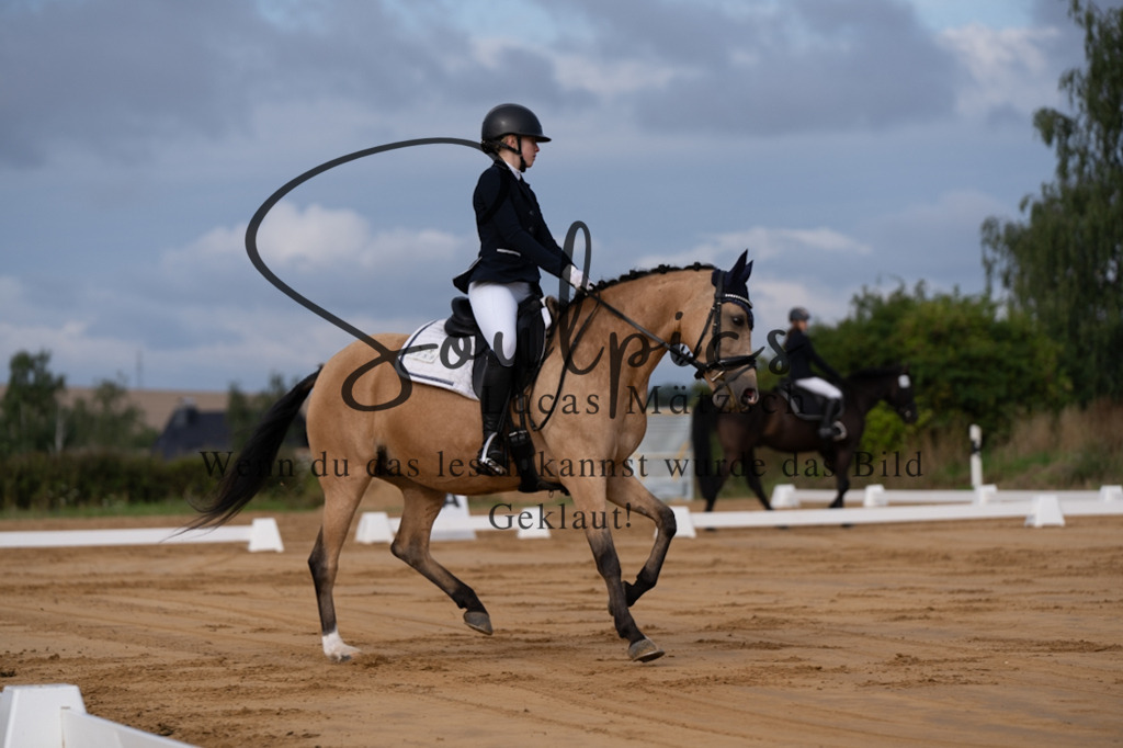 A7V05094 | Pferdefotograf