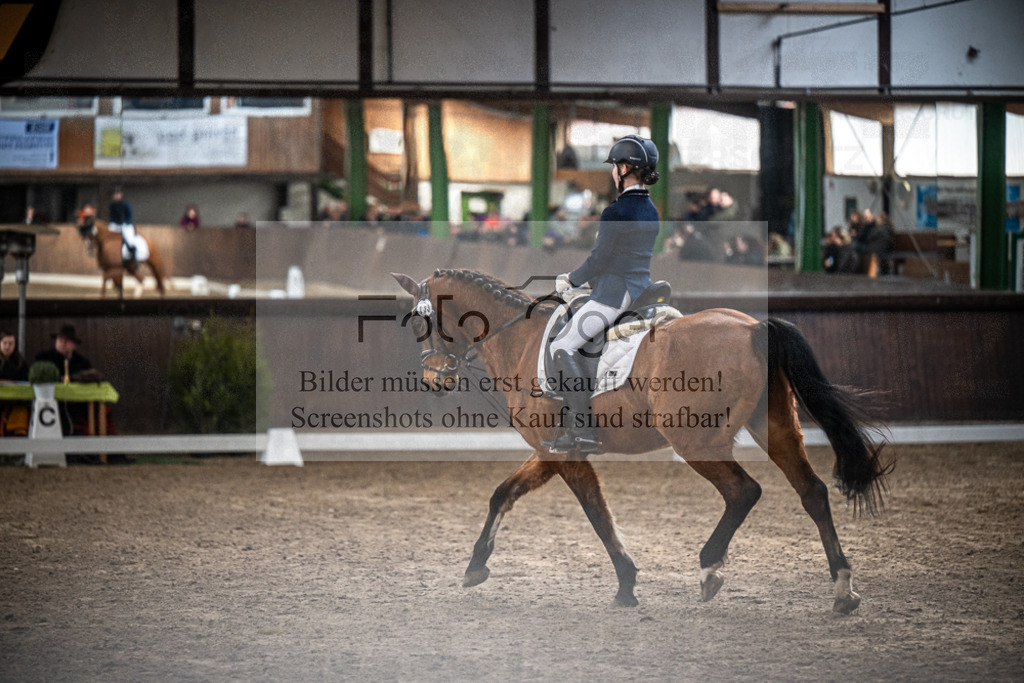 DOS_0754 | Entdecke hochwertige Reitturnierfotos von Foto Oger. Professionell, emotional und authentisch – jetzt Lieblingsmomente im Shop bestellen.Deutschlandweite Turnierfotografie. - Realisiert mit Pictrs.com