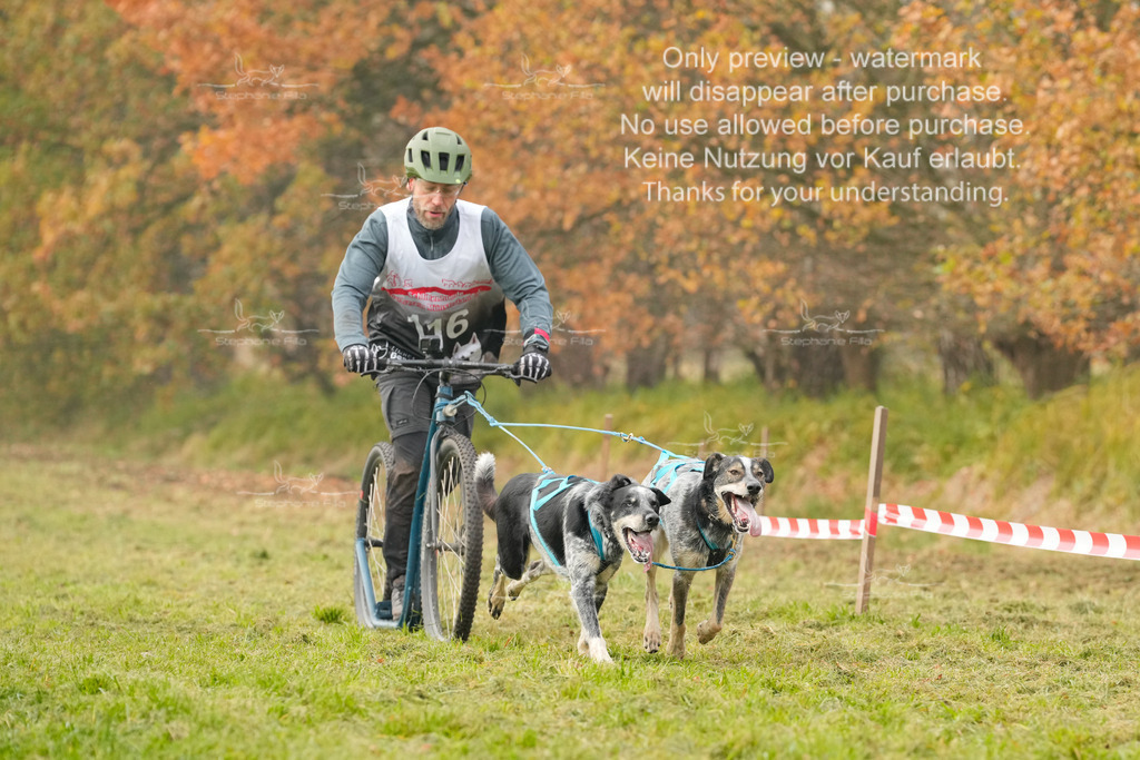 Visbeck_Sa_DS2DR2-103 | stephaniefillaphotographie - Realisiert mit Pictrs.com