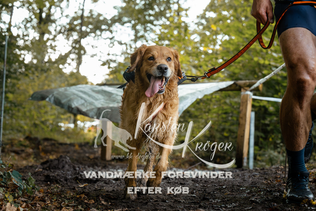 1408DZ6_1083Z6 | kk-dogfotos