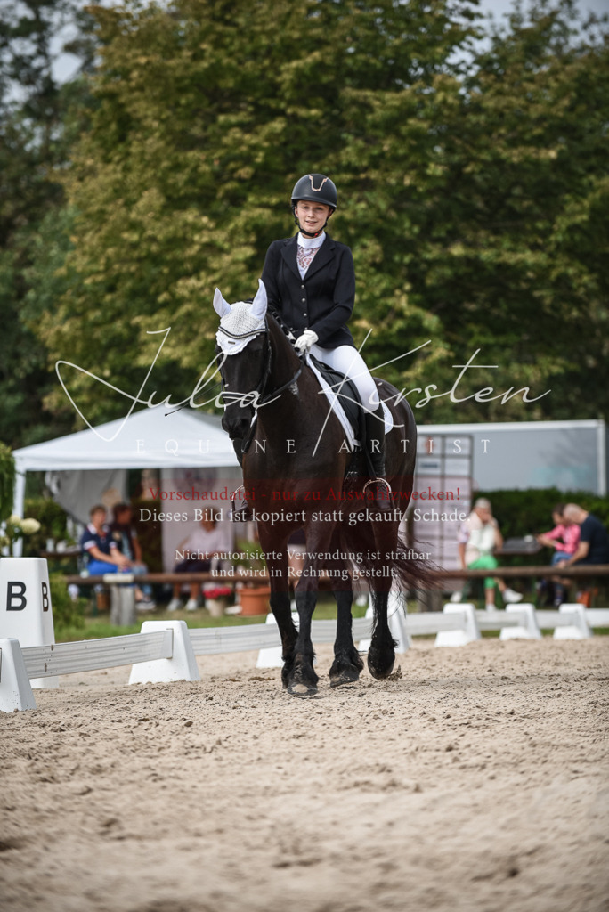 DSC_8601 | Pferde- und Turnierfotografie in Westsachsen. Pferdeportraits, Auftragszeichnungen und intuitive Kunst.