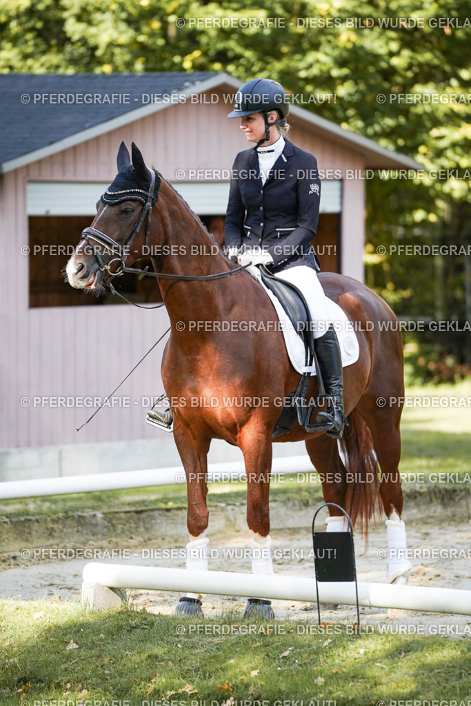 DSC07158 | Pferdegrafie