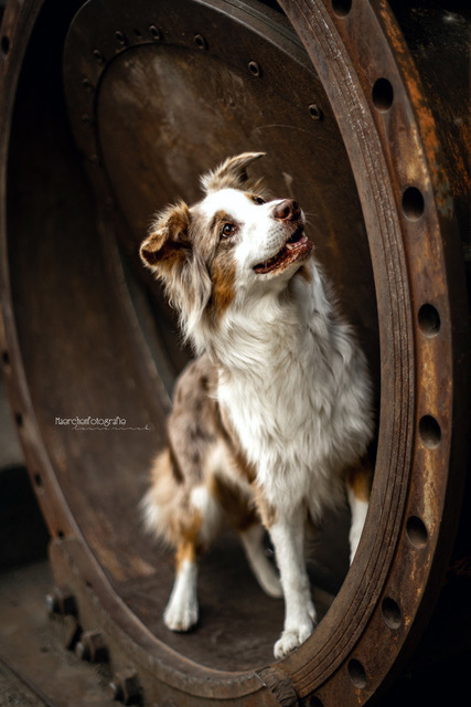 9B26ADE7-C58D-4289-A8E1-8F8F1F3D4931 | laurarinckfotografie - Realisiert mit Pictrs.com