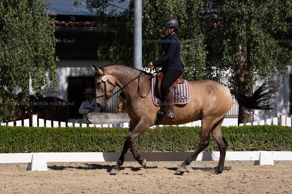 WA_DR_120_SinaFilmArt_IN01472 | working equitationturnier fotograf videograf stoibphotography marixx film working equitation deutschland reitsport turnierfotografie eventfotografie equestrian events
