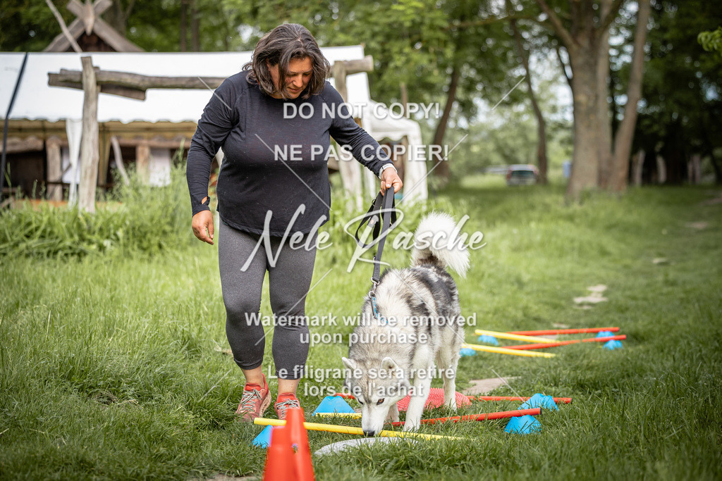 nelerasche_So-earlydog_29 | nelerasche