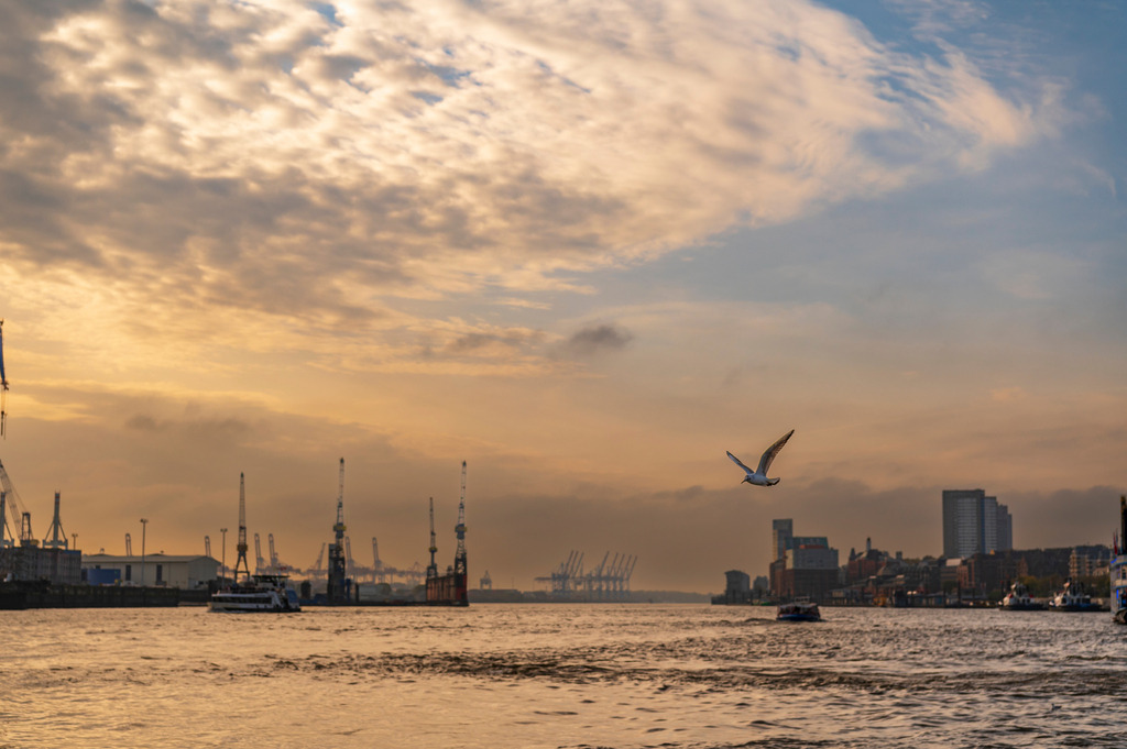 2022_10_31_HAMBURG_MCP5457 | Hochwertig gedruckte Fotografien für die Wand, als Kalender und zum Verschenken. Hamburg & Norddeutschland und überall wo ich mit der Kamera unterwegs war.