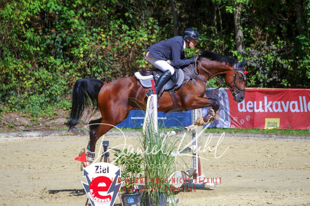 DKP43202 | Turniersportfotografie; Pferdefotografie; Dressurfotografie