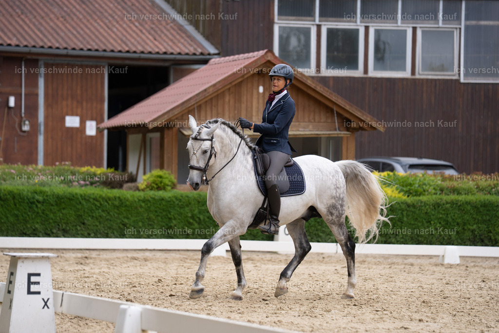 WS_DR_11_sinafilmart_IN01840 | working equitationturnier fotograf videograf stoibphotography marixx film working equitation deutschland reitsport turnierfotografie eventfotografie equestrian events