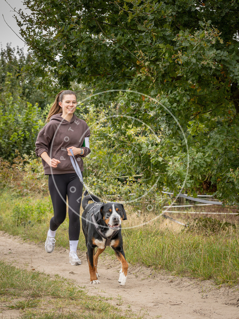 Pfotenfotografie_DV3A5995 | Hundefotografie, Tierfotograf, Pfotenfotografie, Fotoshooting Hund, Hunde Portrait, Hundesport, Hundeportraits, Heideshooting, Hunde, Sportfotograf, Hundefotograf, Turnierhundsport, THS,  - Realisiert mit Pictrs.com