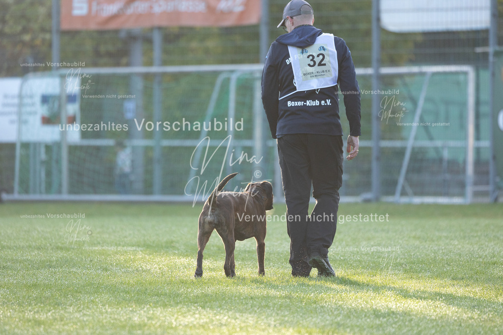 _16A6046 | Einzigartige Fotos von Hunden & Menschen –Actionfotos, Portraits, Vereinsaufnahmen & Paarshootings – authentisch, lebendig & mit Herz.