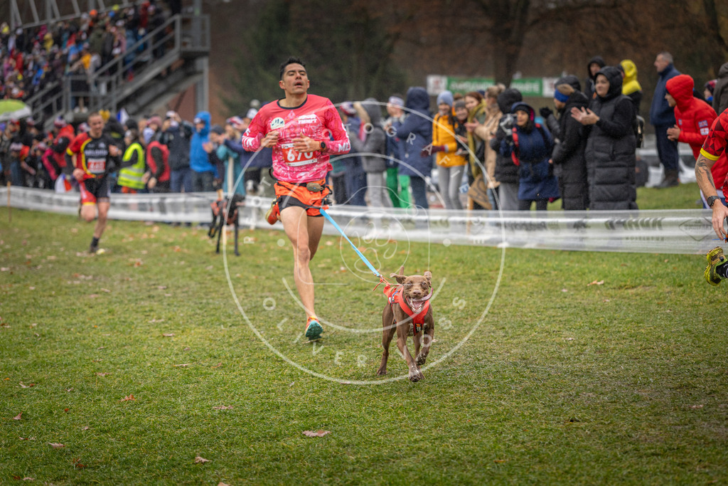 CaniXpix_DV3A9940 | Hundefotografie, Tierfotograf, Pfotenfotografie, Fotoshooting Hund, Hunde Portrait, Hundesport, Hundeportraits, Heideshooting, Hunde, Sportfotograf, Hundefotograf, Turnierhundsport, THS,  - Realisiert mit Pictrs.com